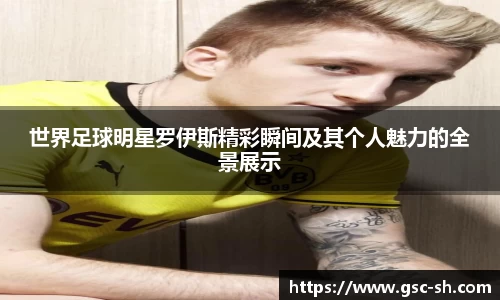 世界足球明星罗伊斯精彩瞬间及其个人魅力的全景展示