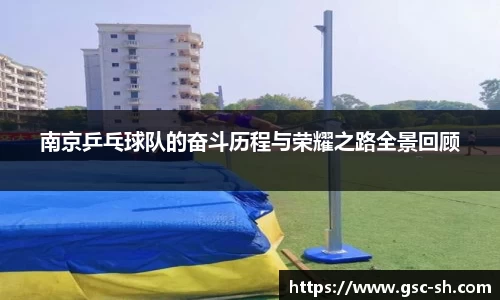 南京乒乓球队的奋斗历程与荣耀之路全景回顾
